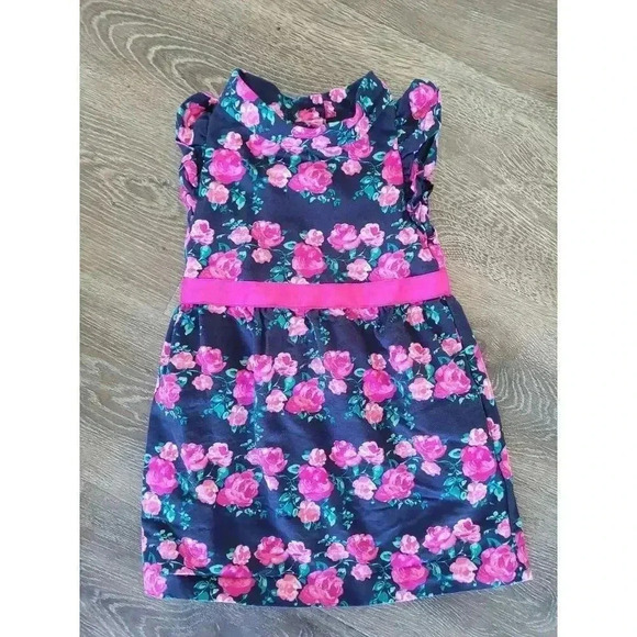 Janie and Jack Rose Sleeveless Toddler Girl Dress‎ size 3 #1 - Picture 1 of 3